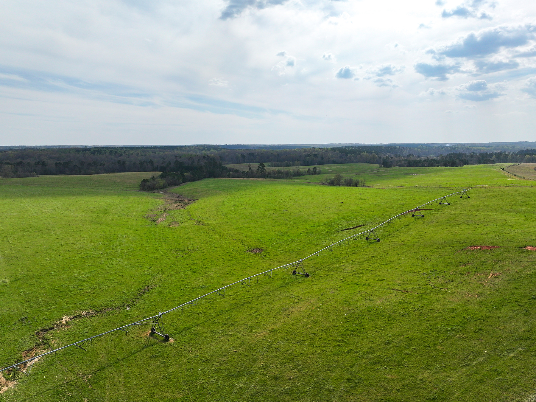 Whitney Farm property picture 40 of 62