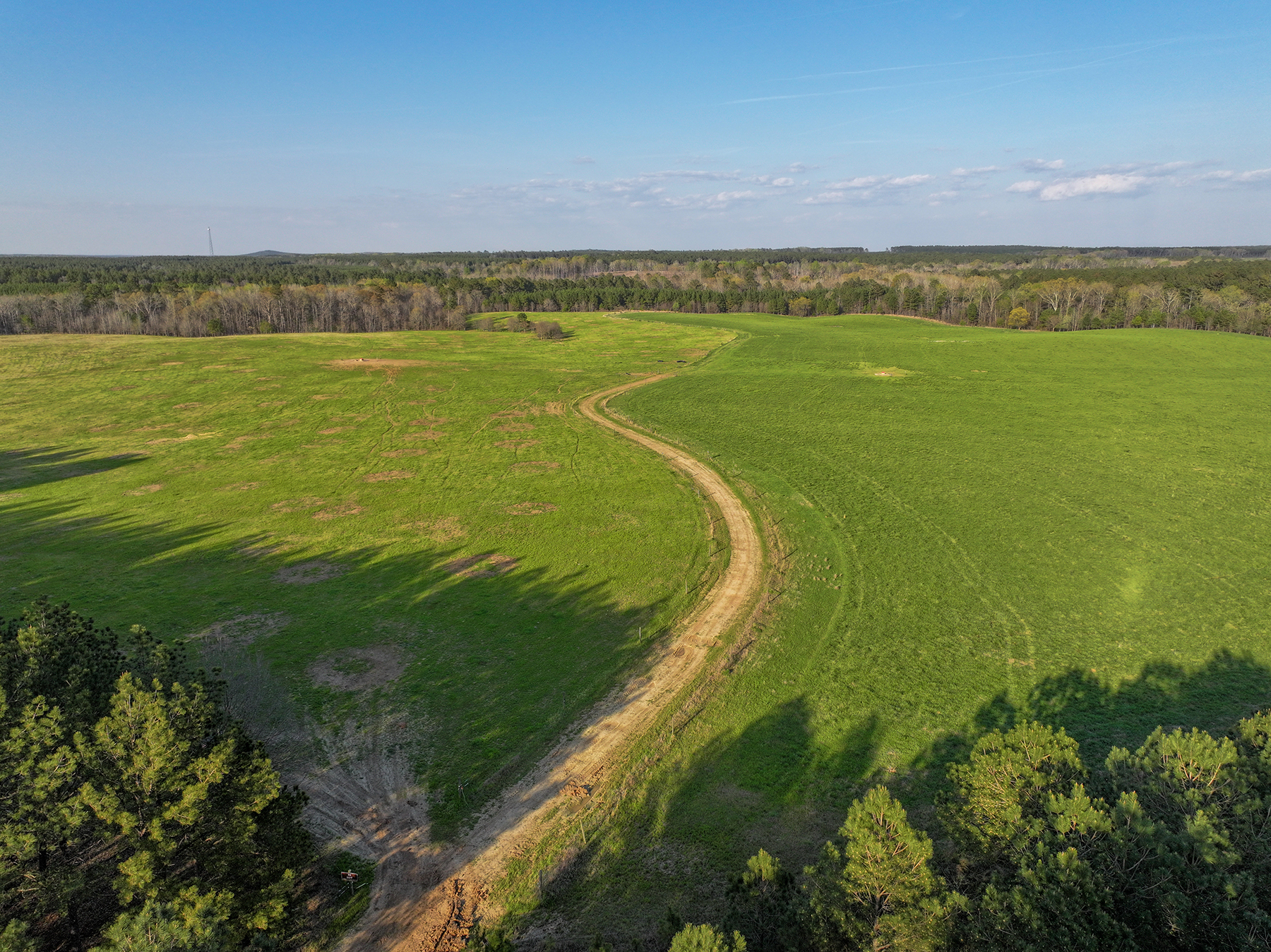 Whitney Farm property picture 39 of 62