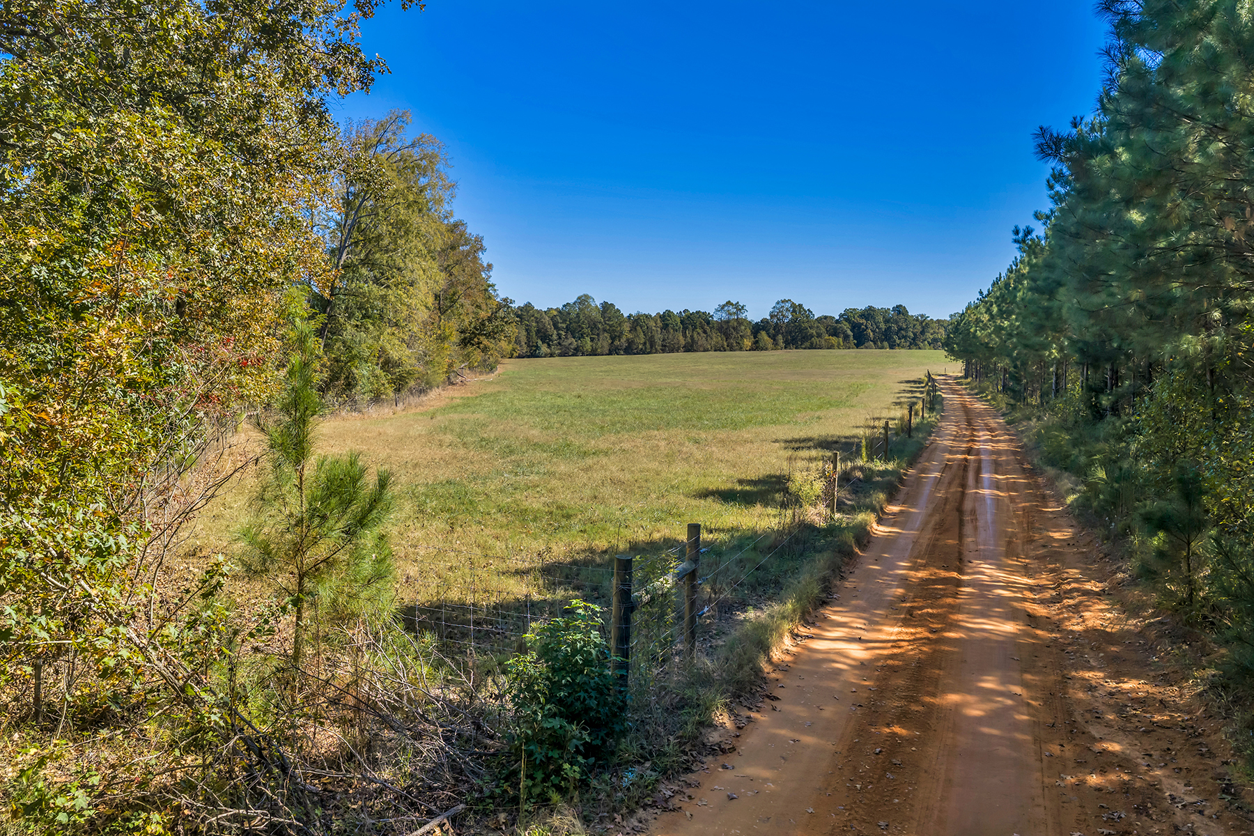 Whitney Farm property picture 55 of 62