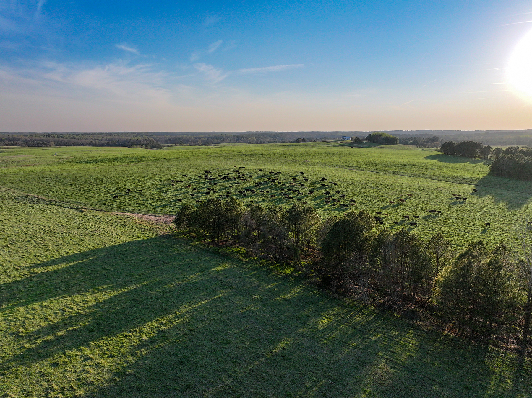 Whitney Farm property picture 1 of 62