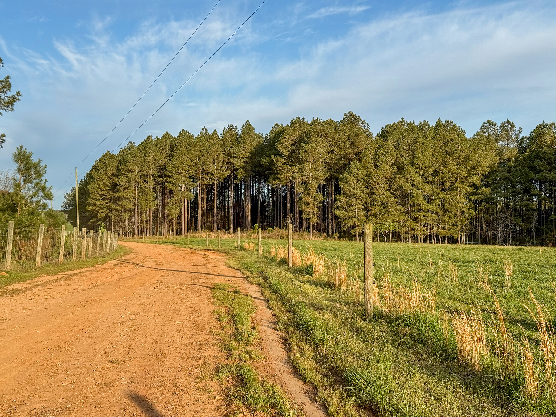 Whitney Farm property picture 45 of 62