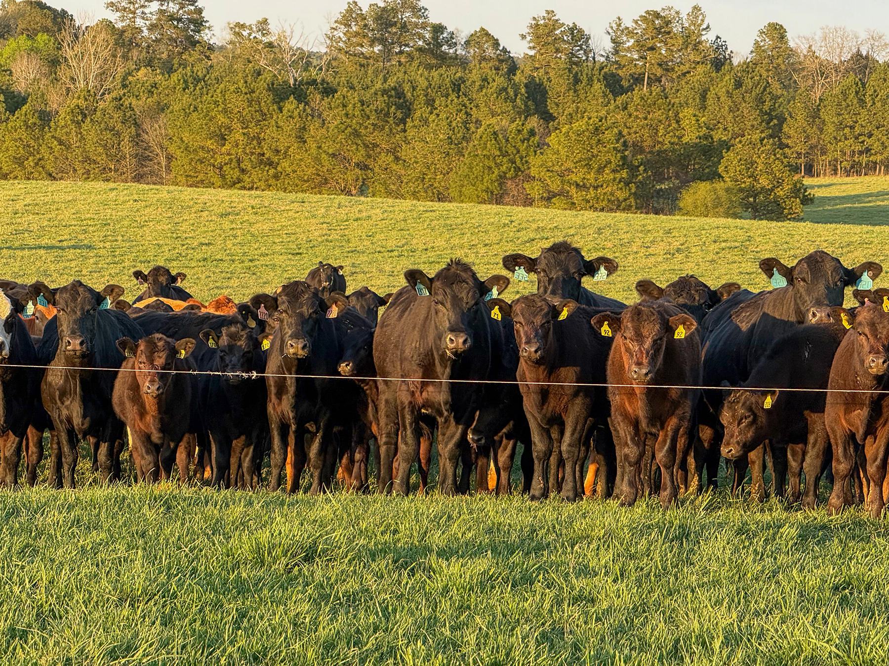 Whitney Farm property picture 44 of 62