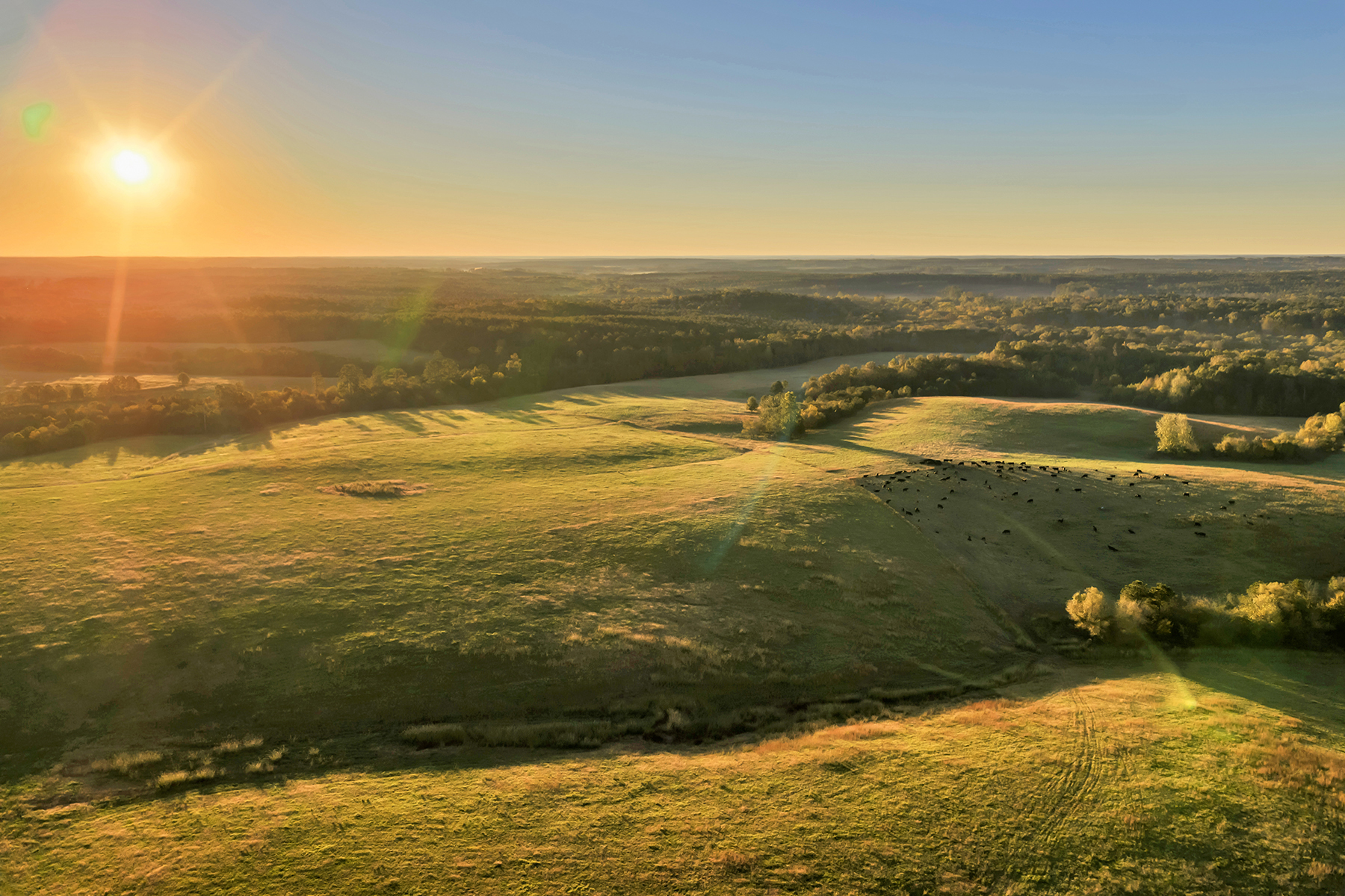Whitney Farm property picture 26 of 62