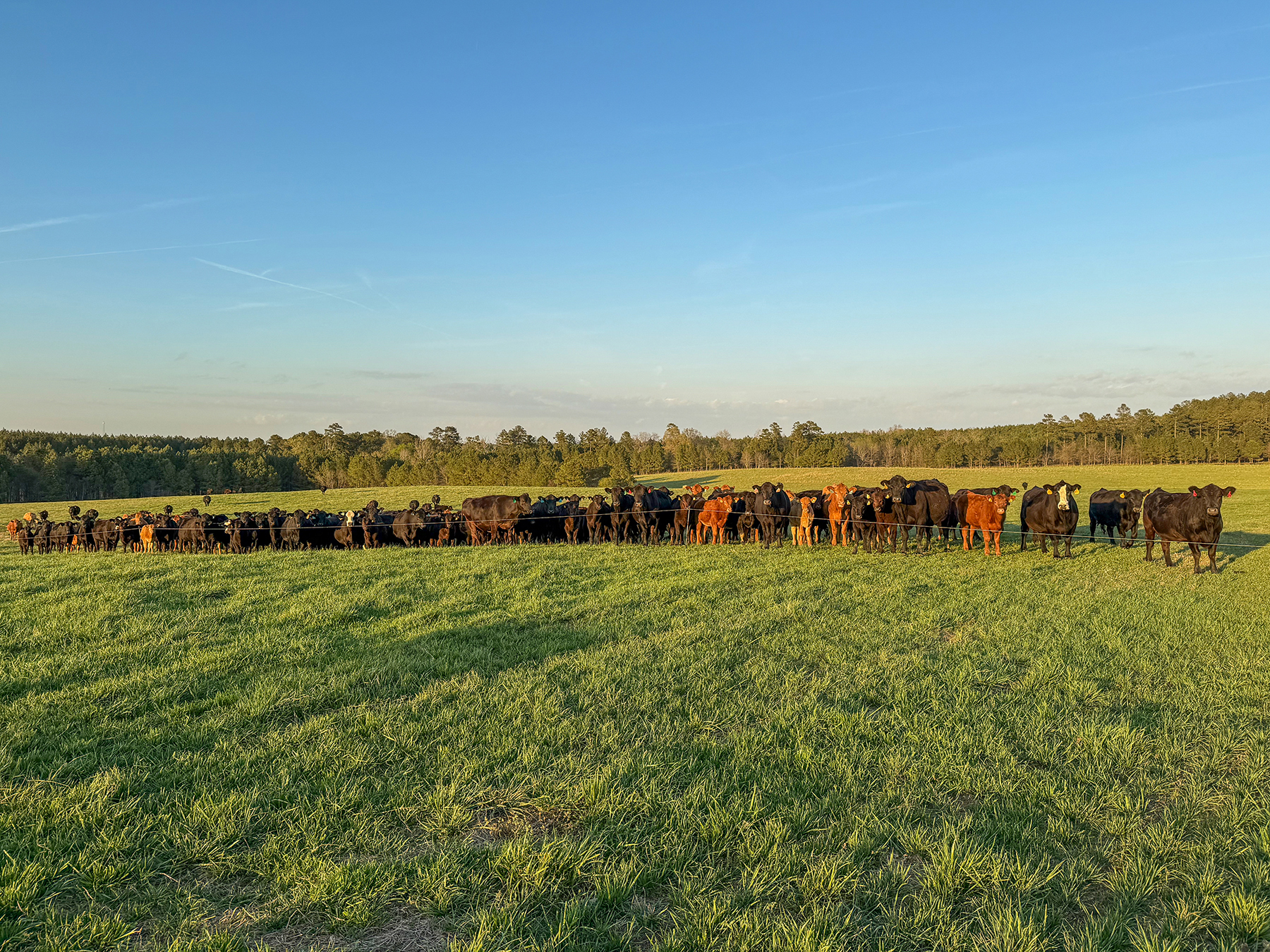 Whitney Farm property picture 43 of 62