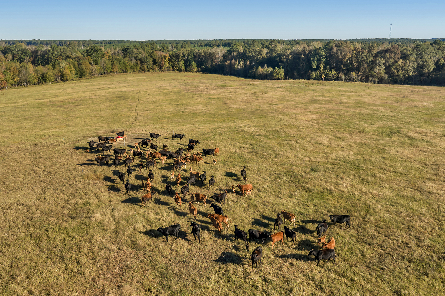 Whitney Farm property picture 29 of 62