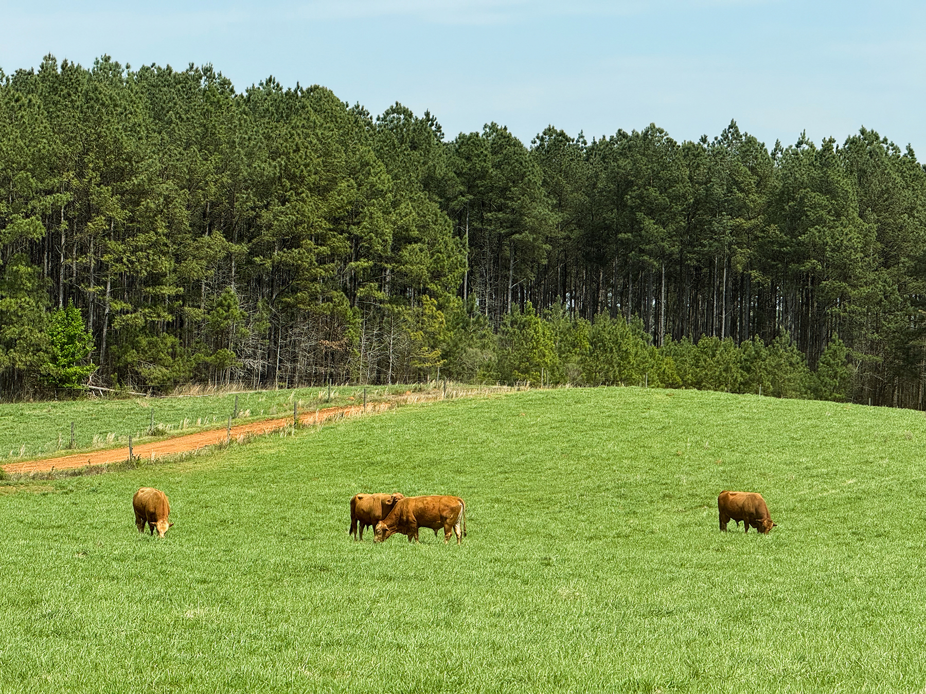 Whitney Farm property picture 31 of 62