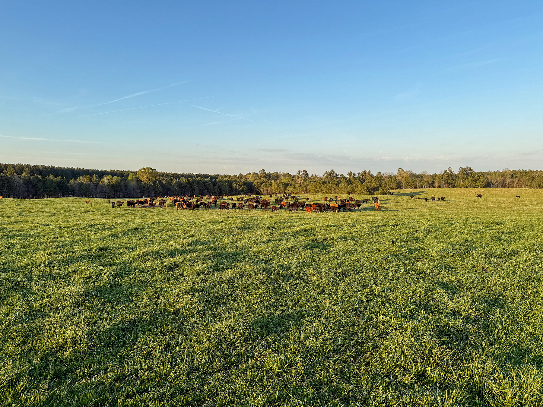 Whitney Farm property picture 42 of 62