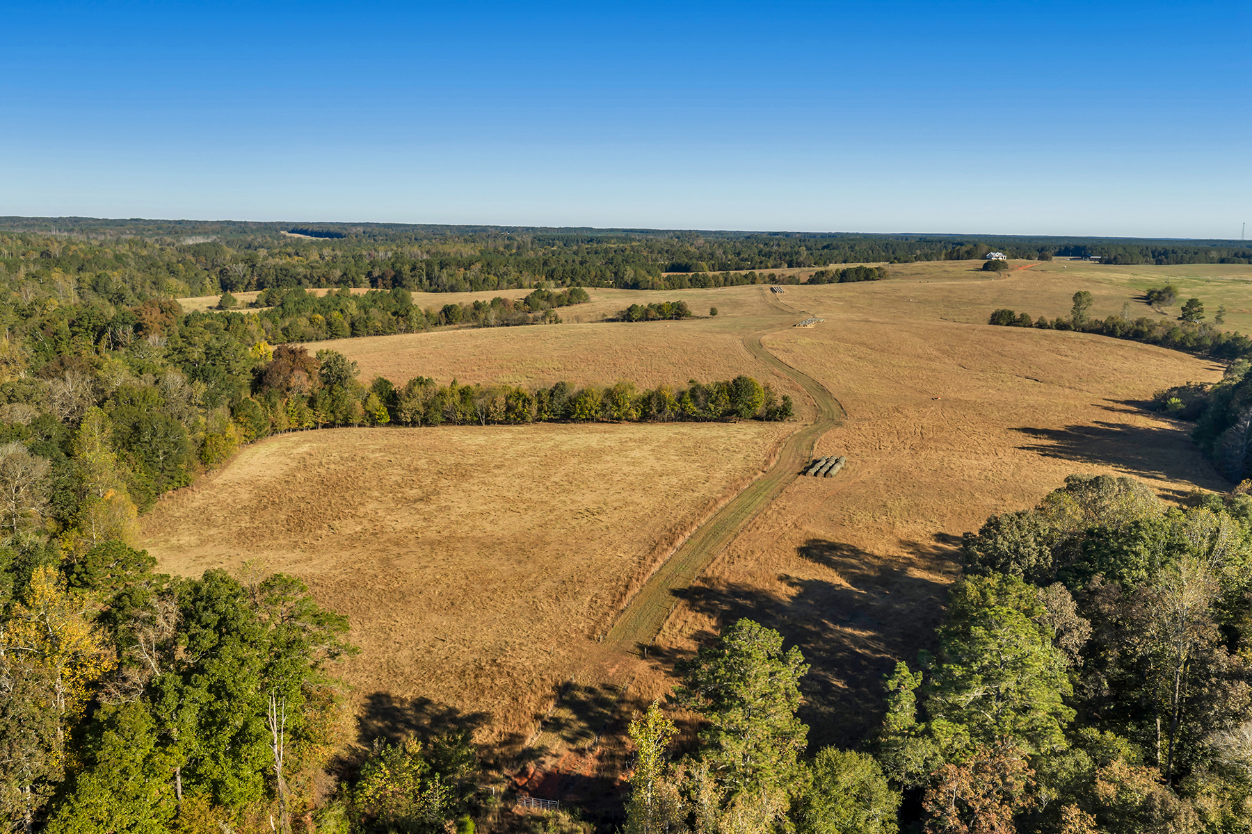 Whitney Farm property picture 27 of 62