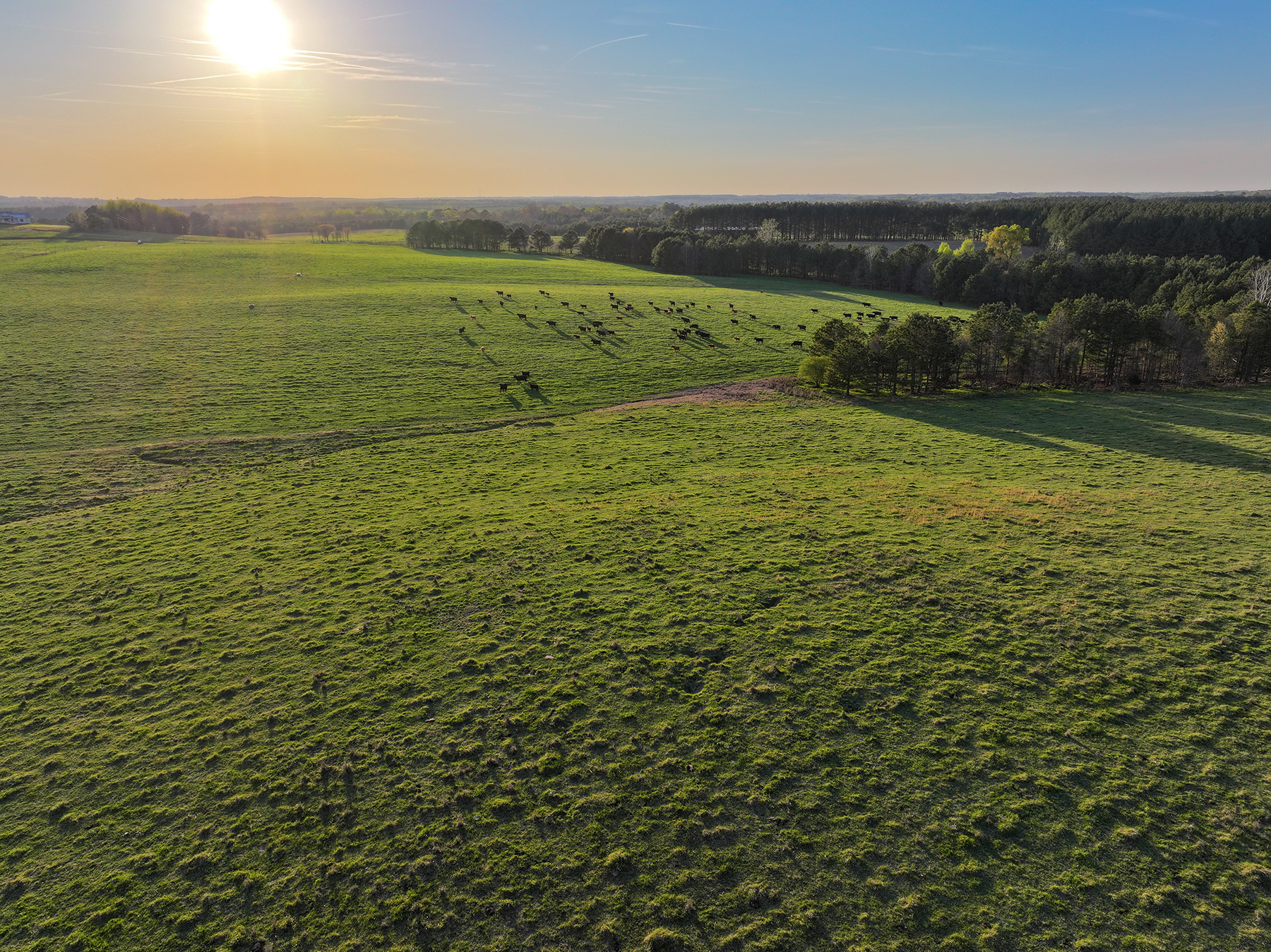 Whitney Farm property picture 51 of 62