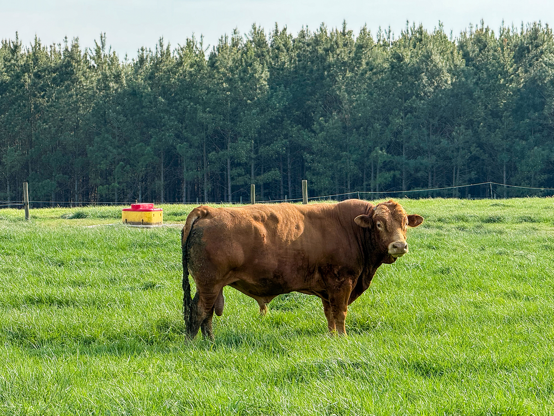 Whitney Farm property picture 30 of 62