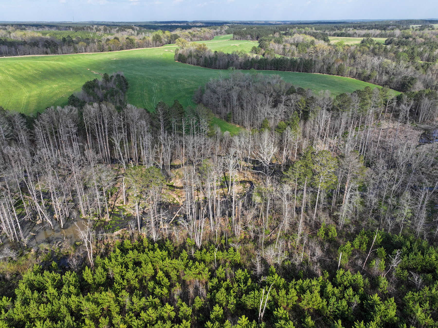 Whitney Farm property picture 60 of 62