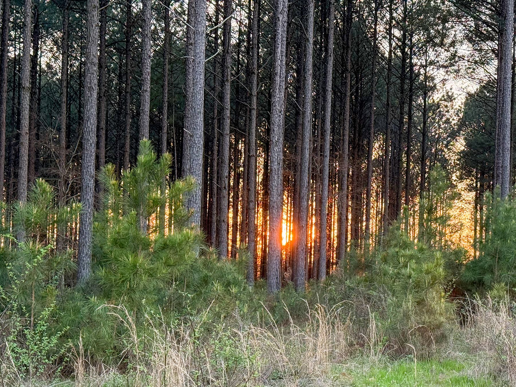 Whitney Farm property picture 50 of 62