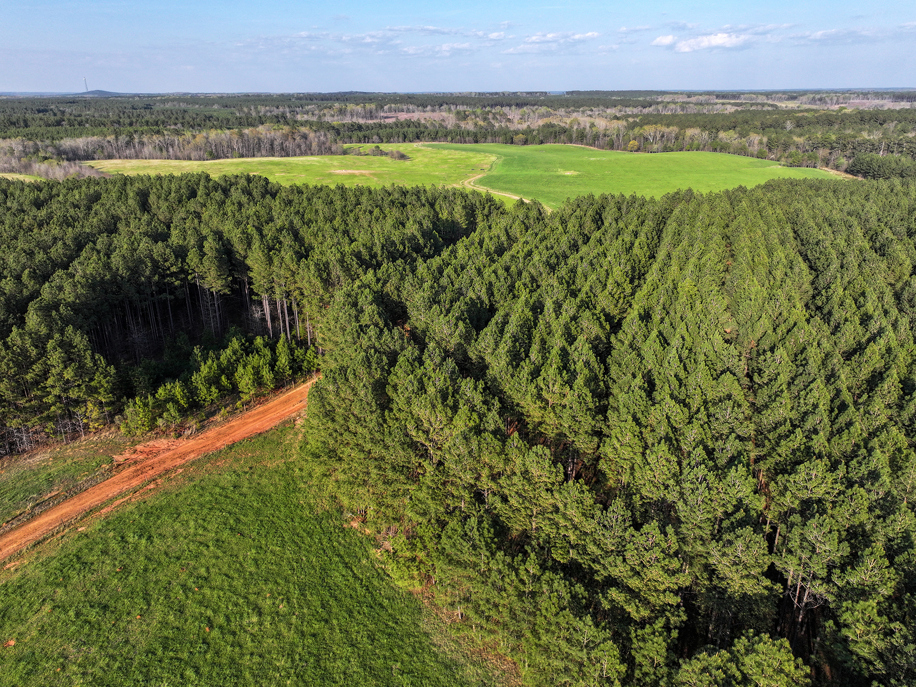 Whitney Farm property picture 38 of 62