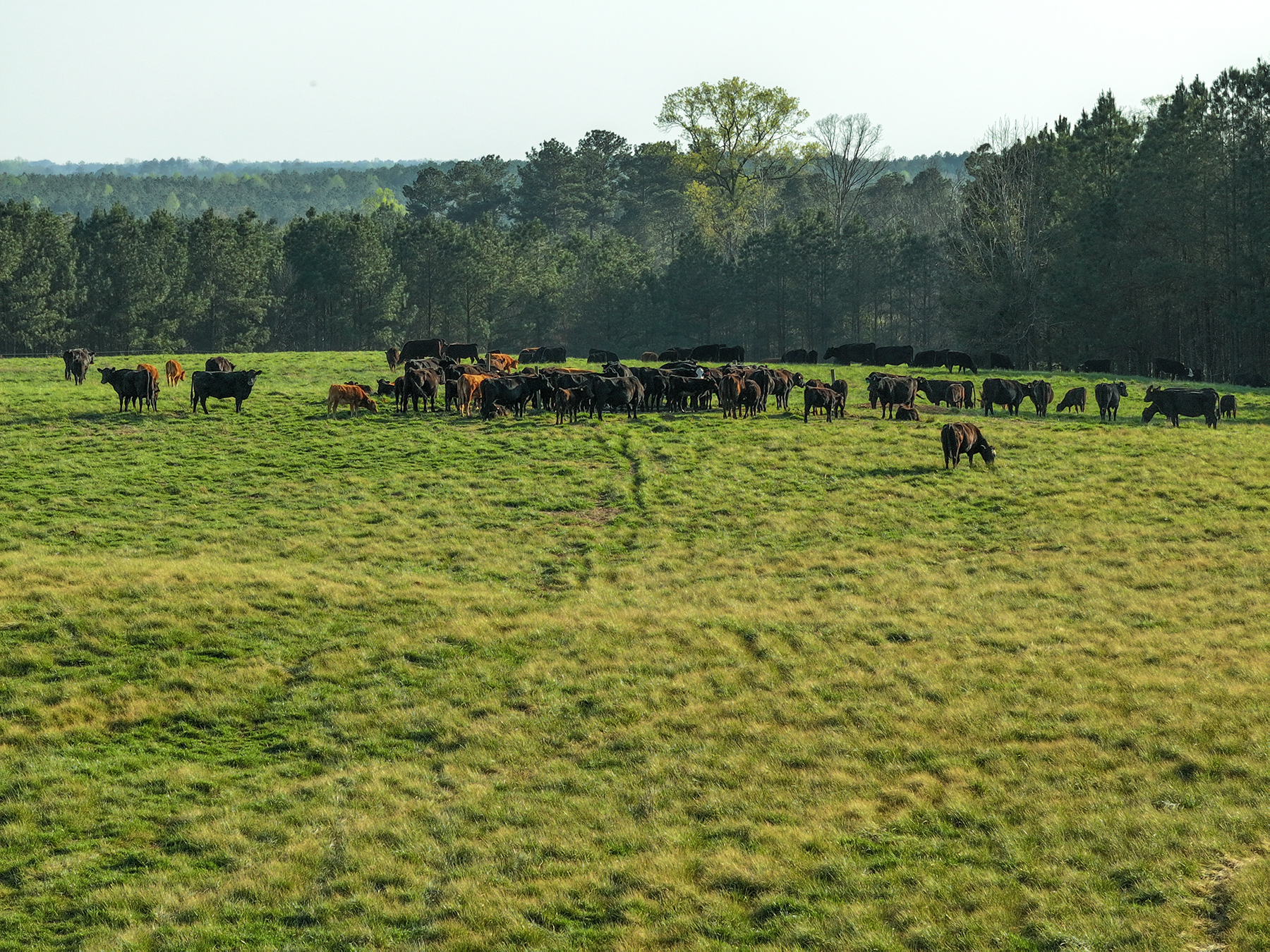 Whitney Farm property picture 58 of 62