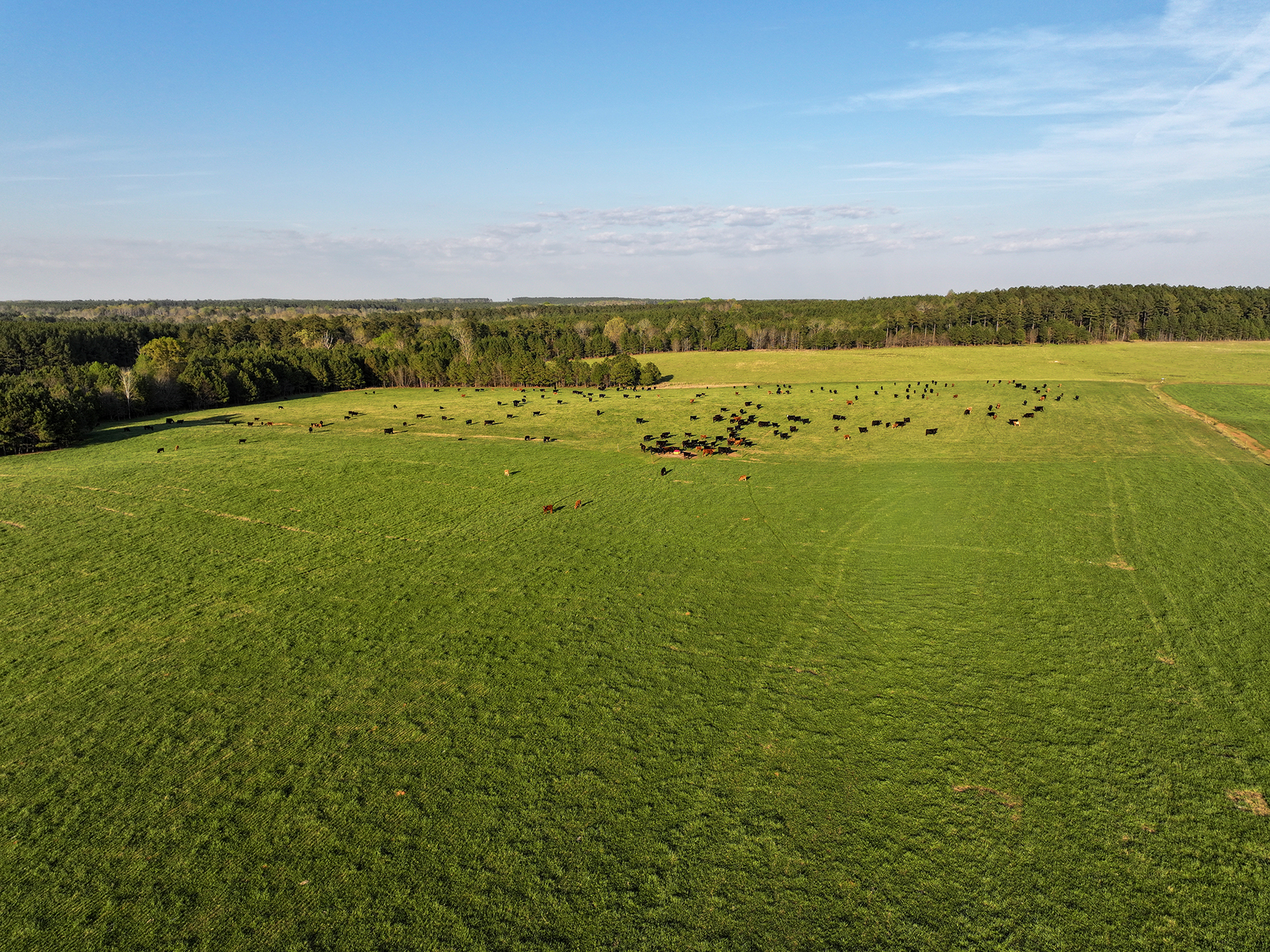 Whitney Farm property picture 4 of 62