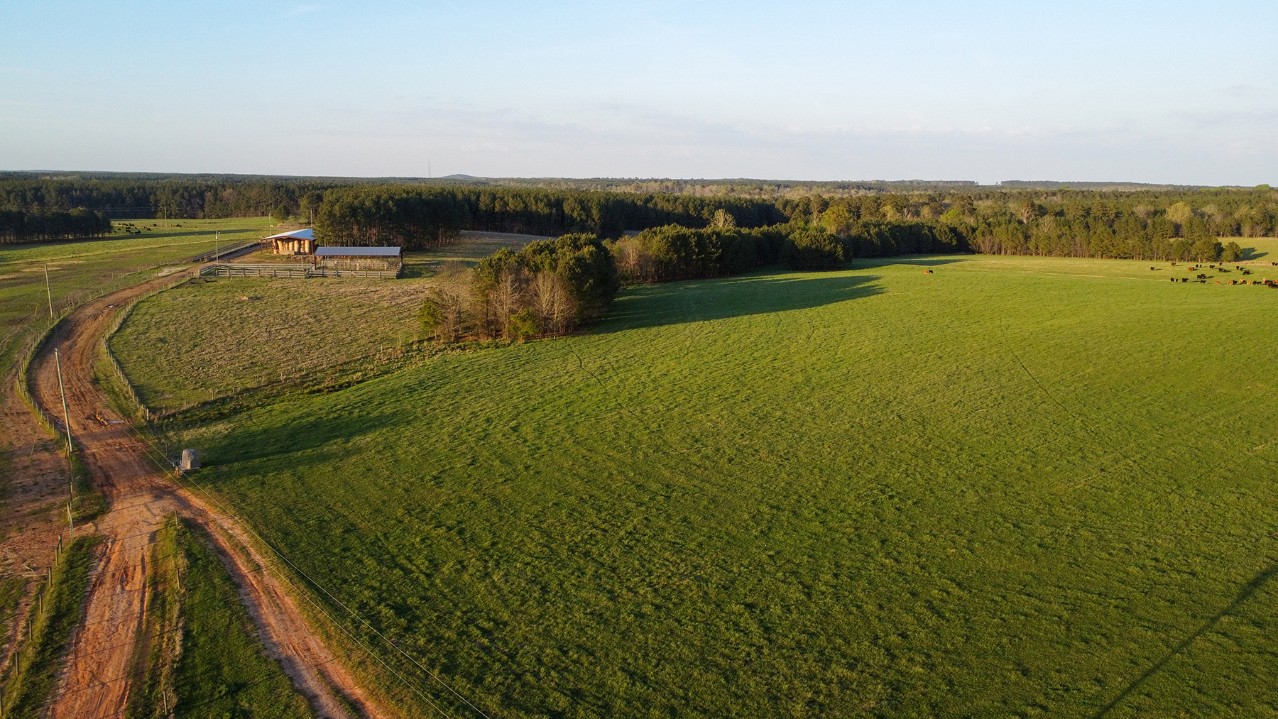 Whitney Farm property picture 37 of 62