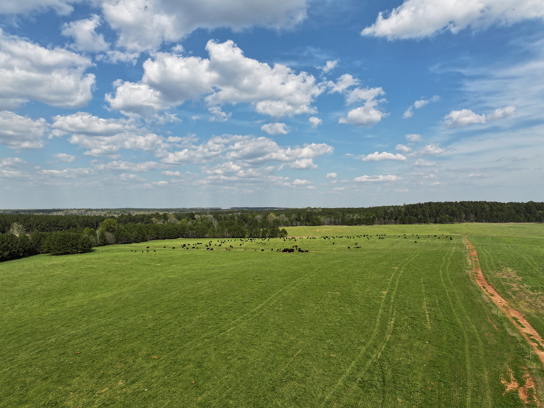 Whitney Farm property picture 57 of 62