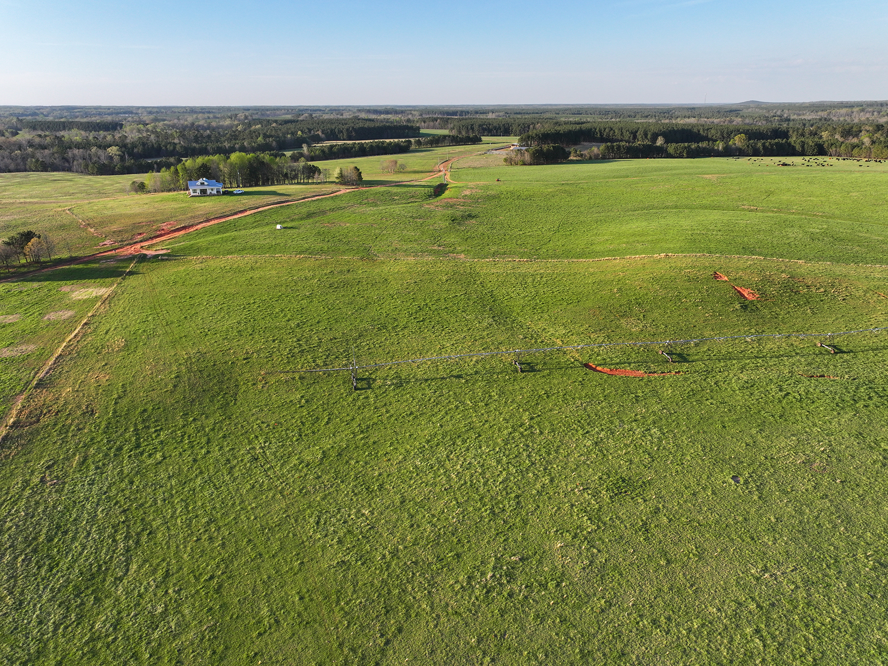Whitney Farm property picture 8 of 62
