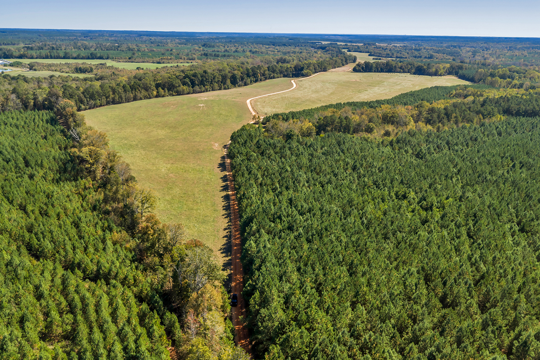 Whitney Farm property picture 54 of 62