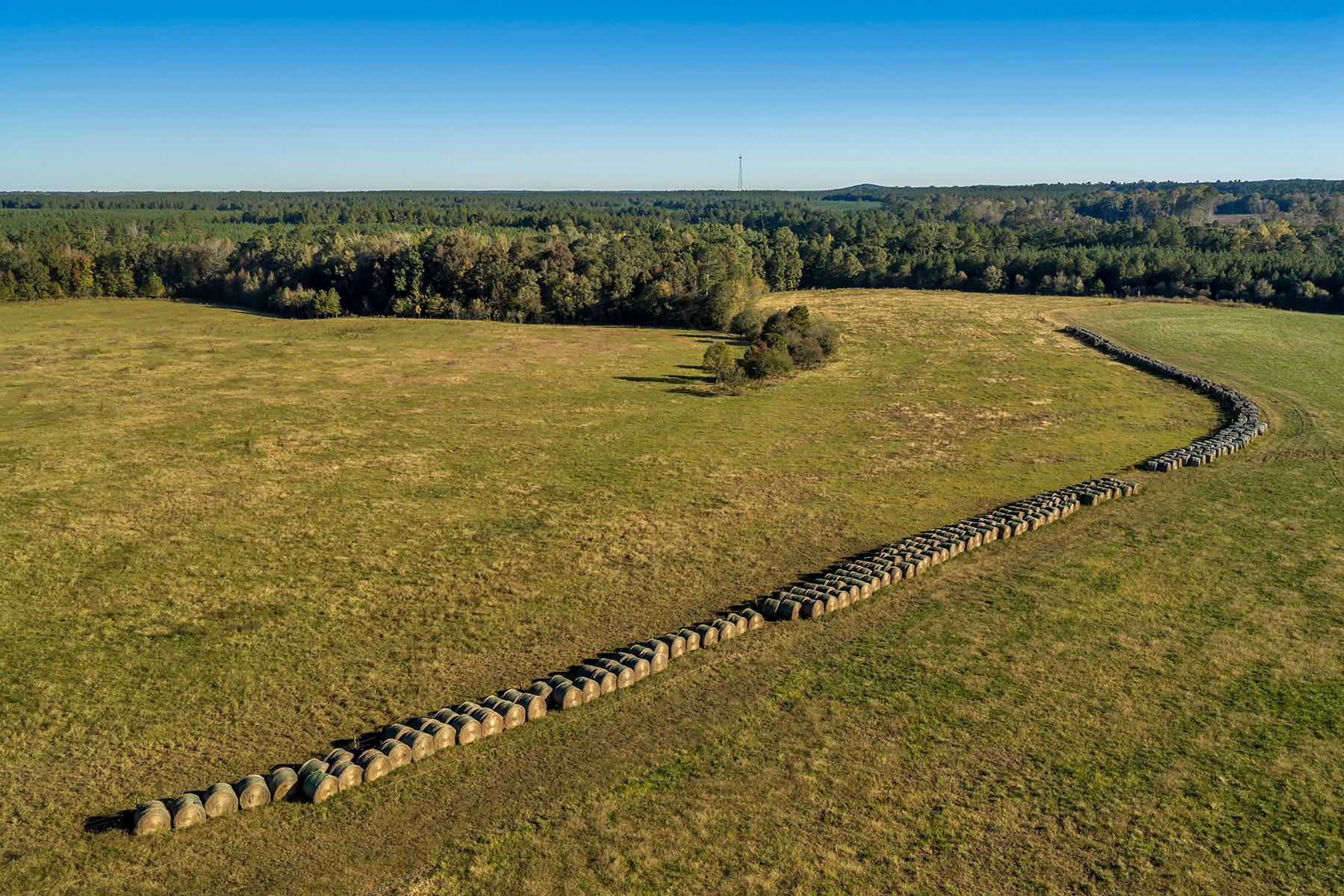 Whitney Farm property picture 28 of 62