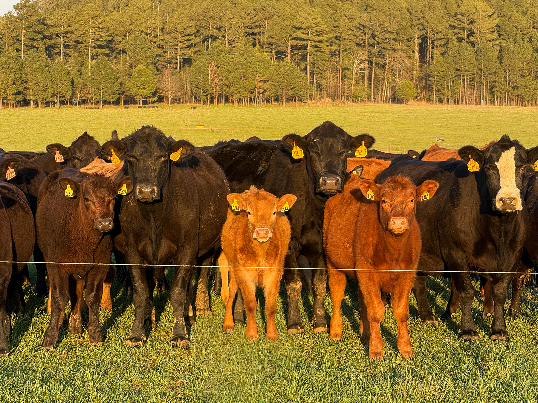 Whitney Farm property picture 6 of 62