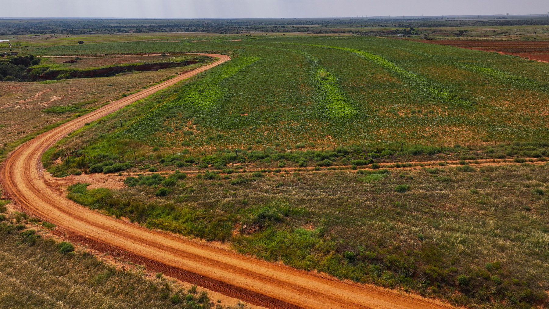 Diamond H Headquarters property picture 6 of 41