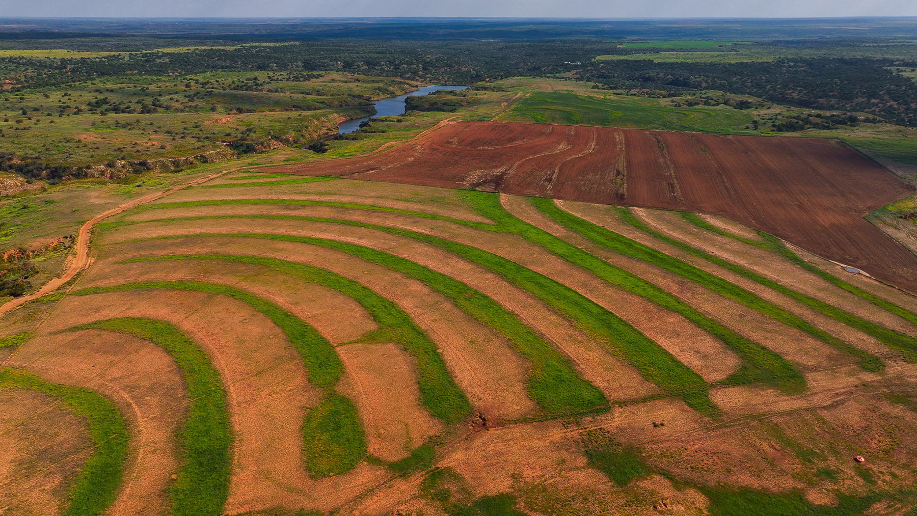 Diamond H Headquarters property picture 35 of 41