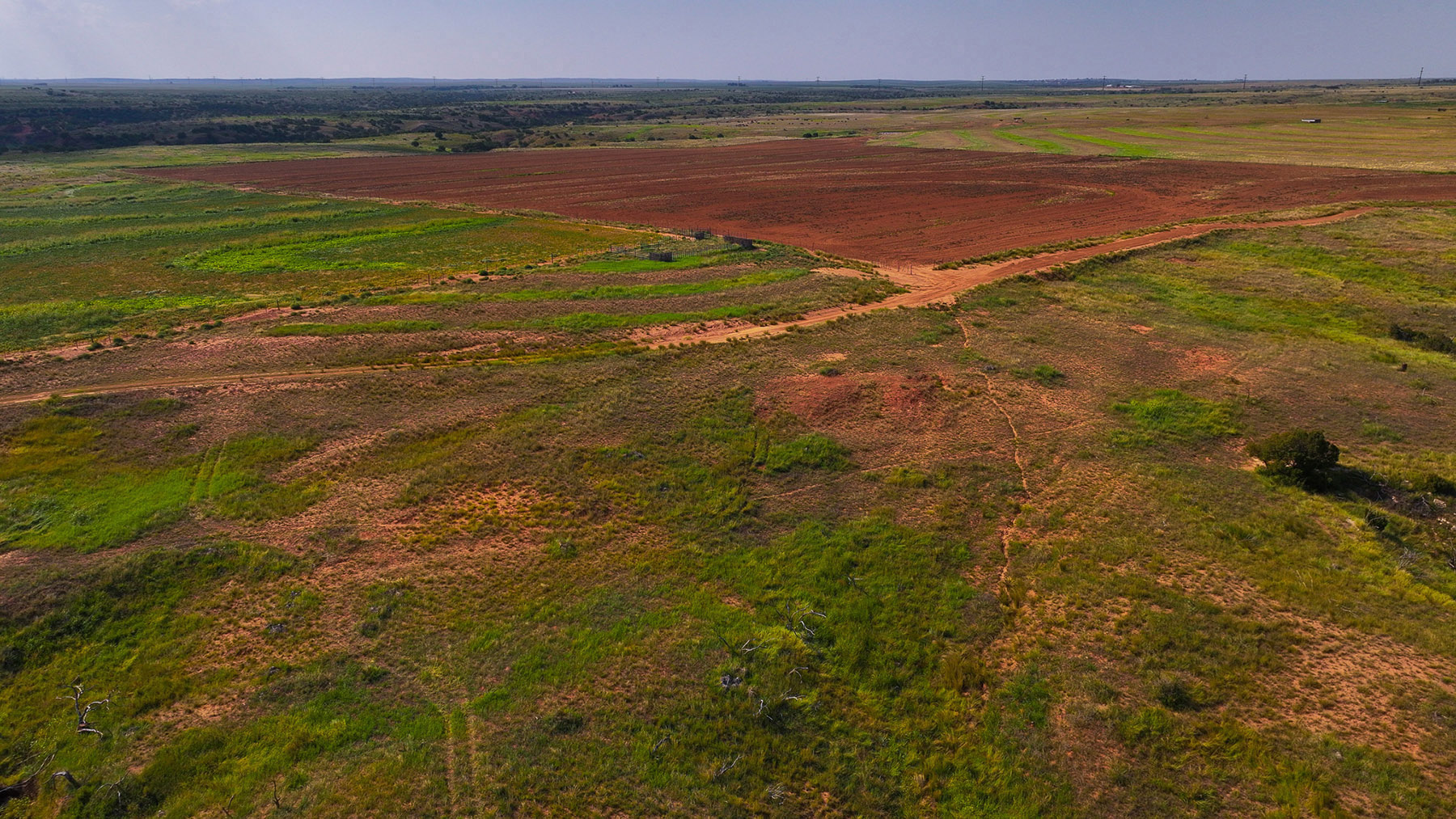 Diamond H Headquarters property picture 25 of 41