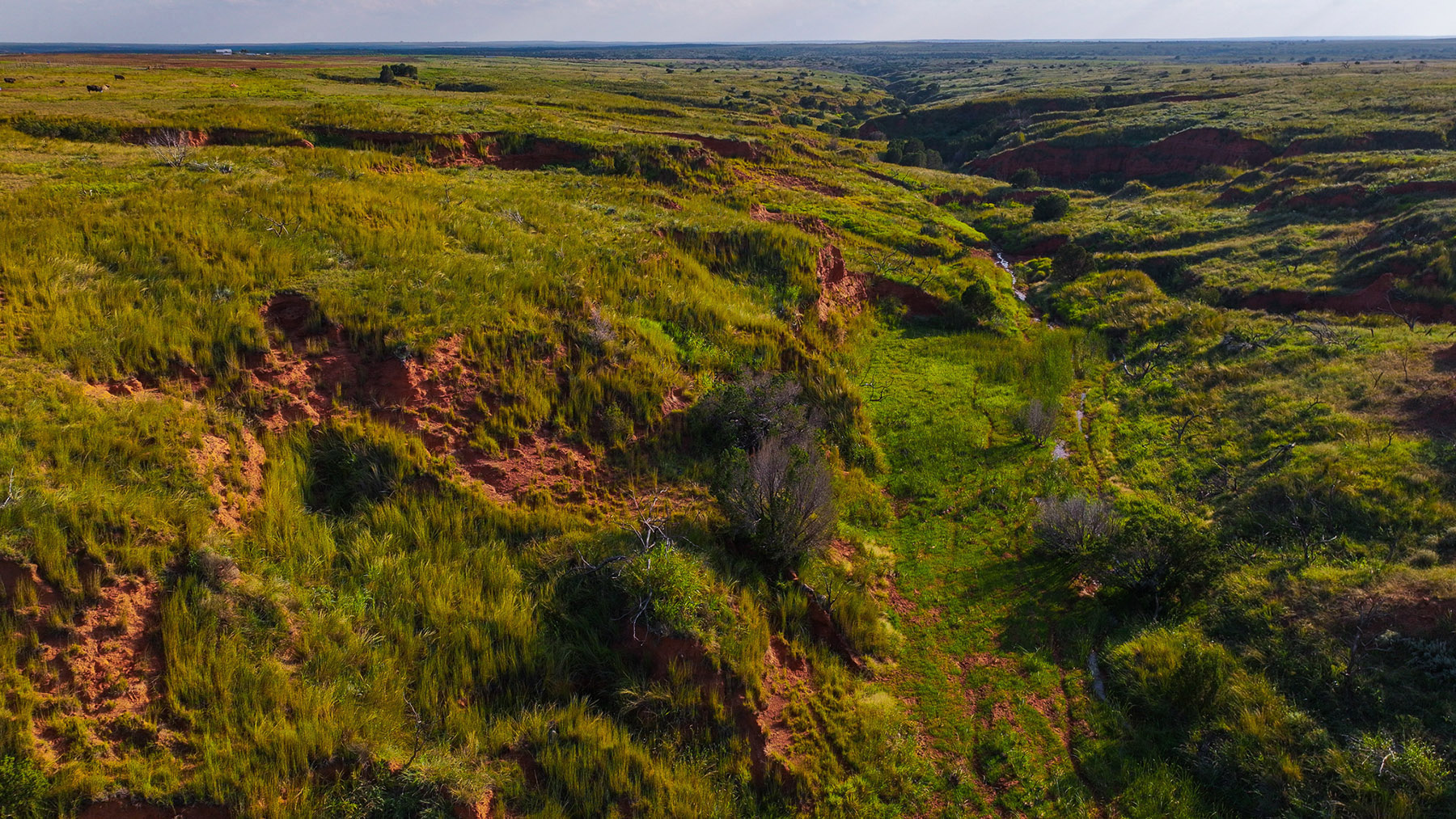 Diamond H Headquarters property picture 38 of 41