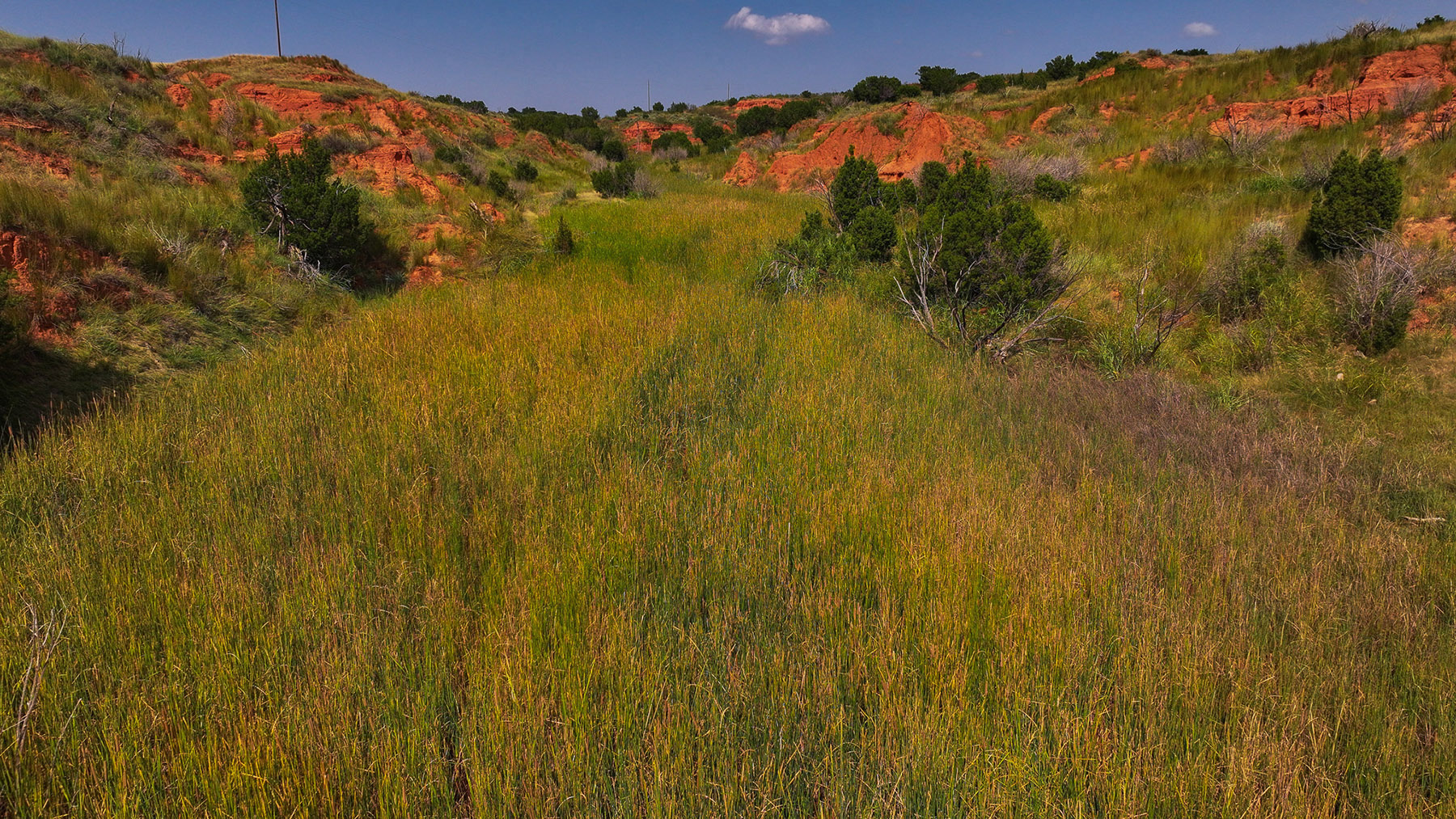 Diamond H Headquarters property picture 18 of 41