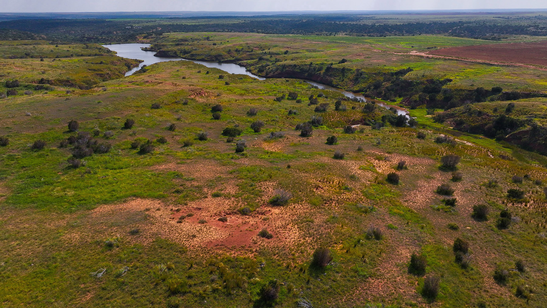 Diamond H Headquarters property picture 21 of 41