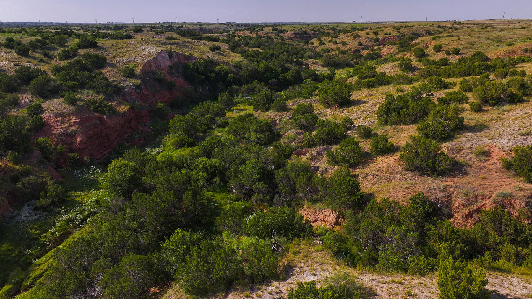 Diamond H Headquarters property picture 28 of 41