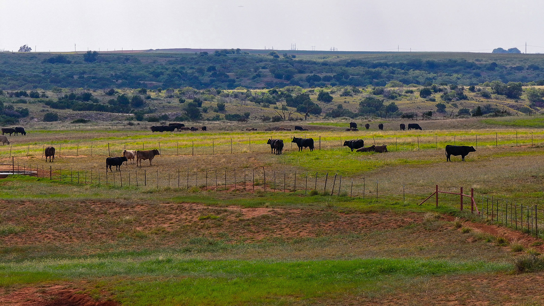 Diamond H Ranch property picture 5 of 53