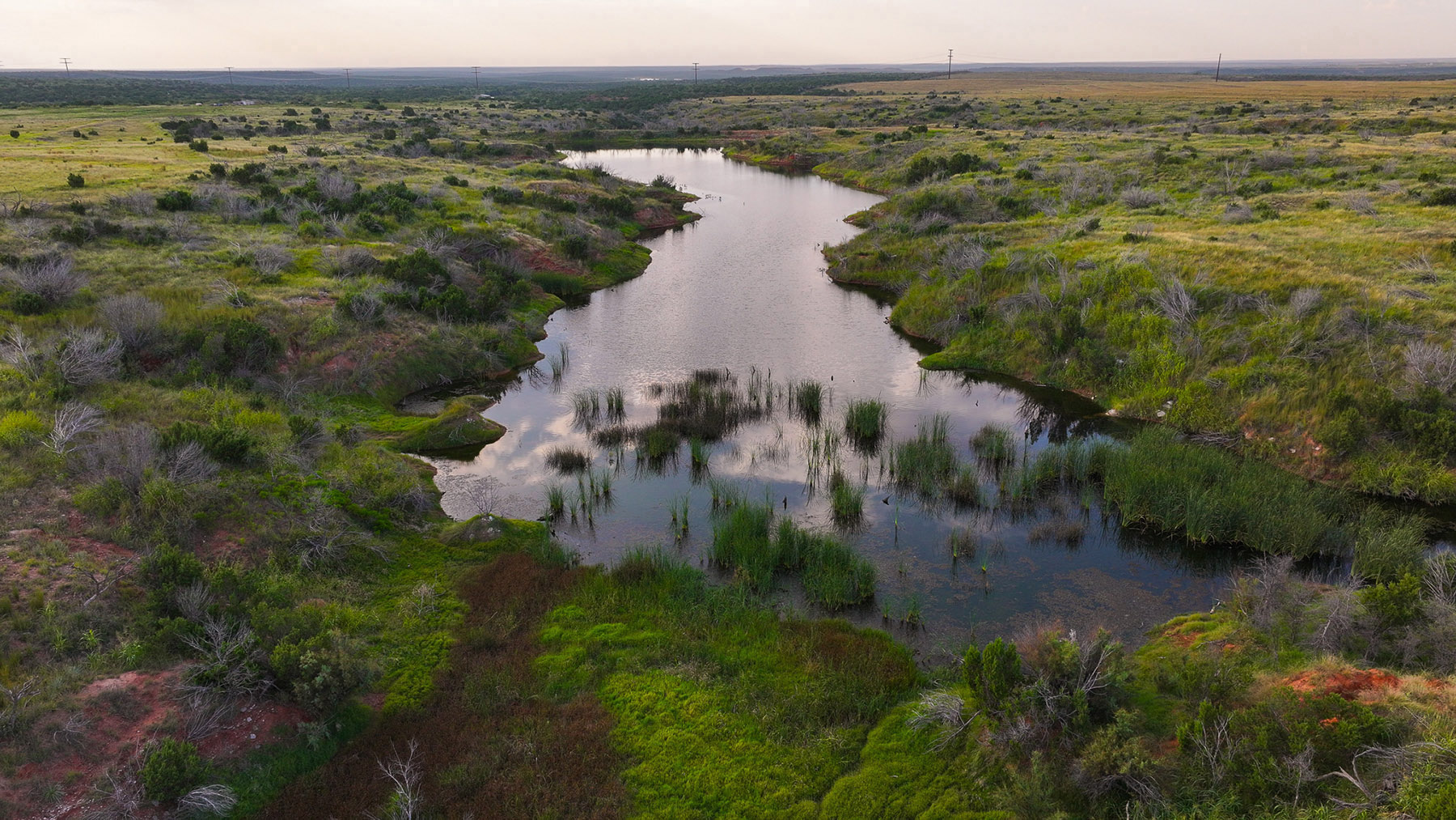 Diamond H Ranch property picture 49 of 53