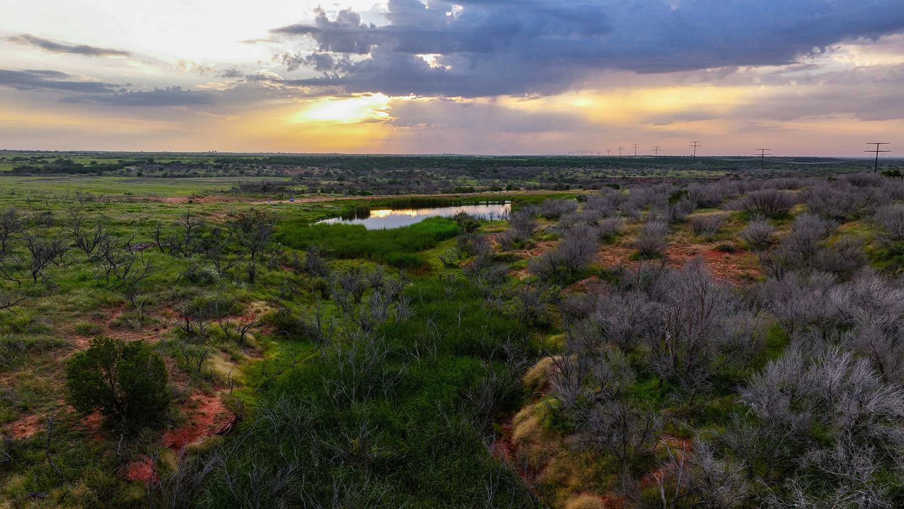 Diamond H Ranch property picture 33 of 53