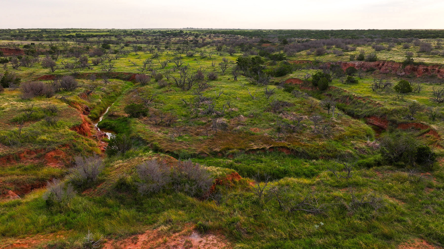Diamond H Ranch property picture 36 of 53