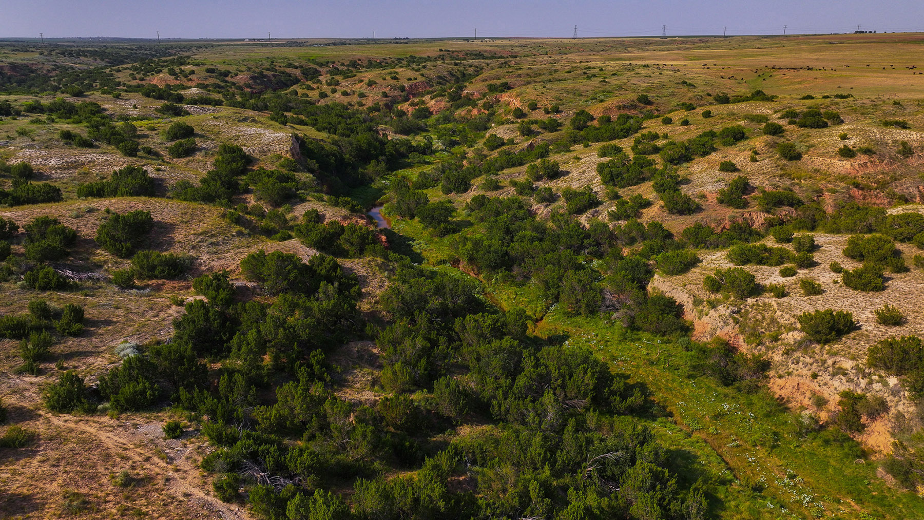 Diamond H Ranch property picture 21 of 53