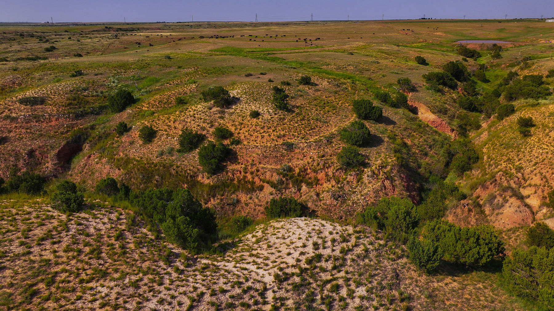 Diamond H Ranch property picture 23 of 53