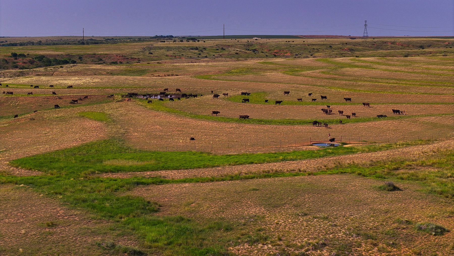 Diamond H Ranch property picture 24 of 53