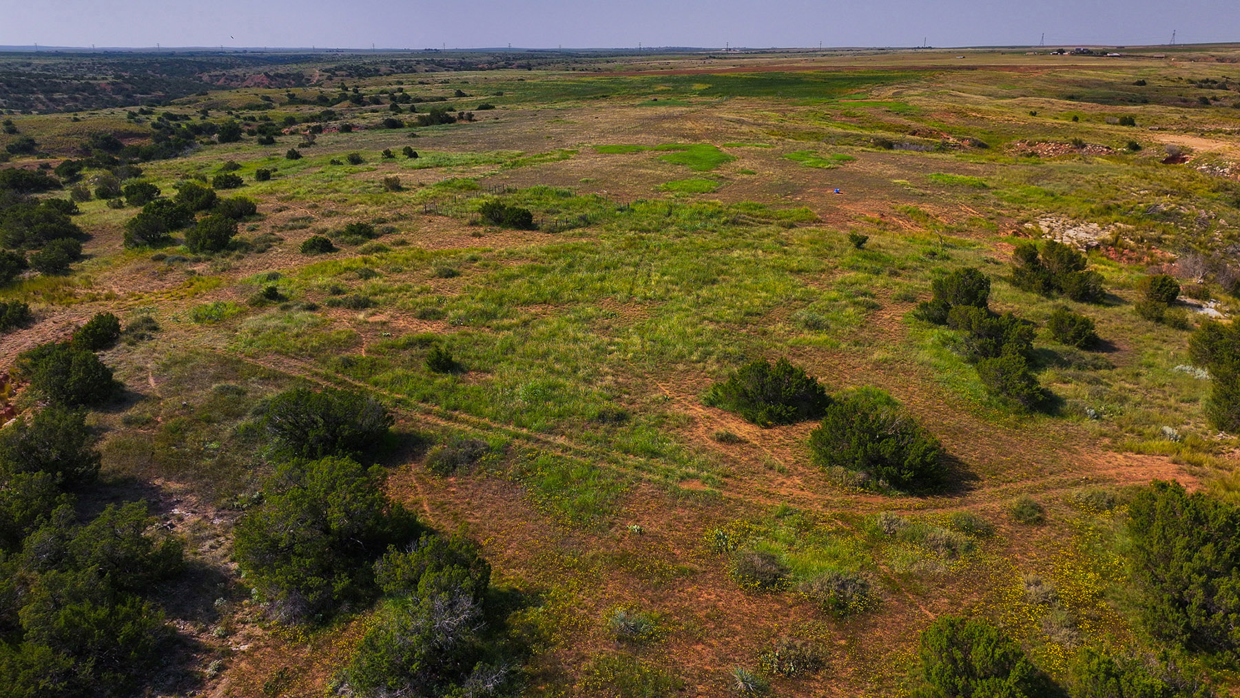 Diamond H Ranch property picture 16 of 53