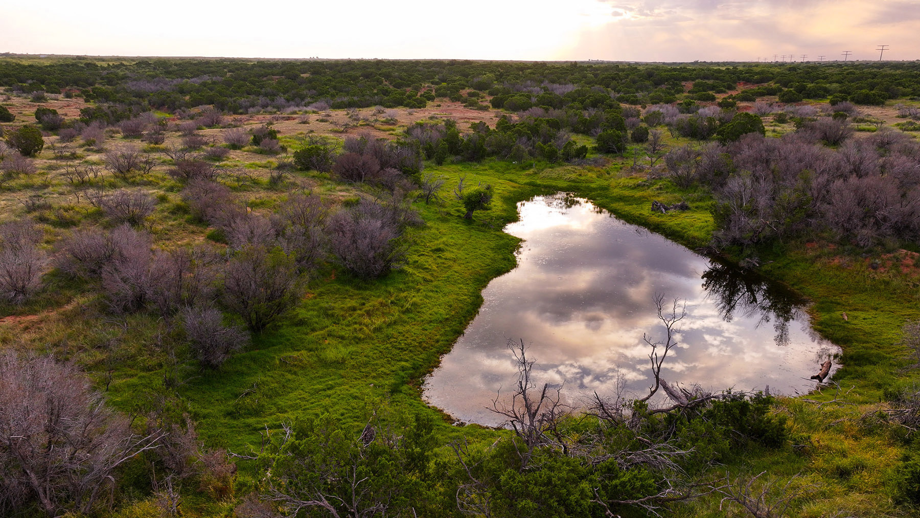 Diamond H Ranch property picture 39 of 53