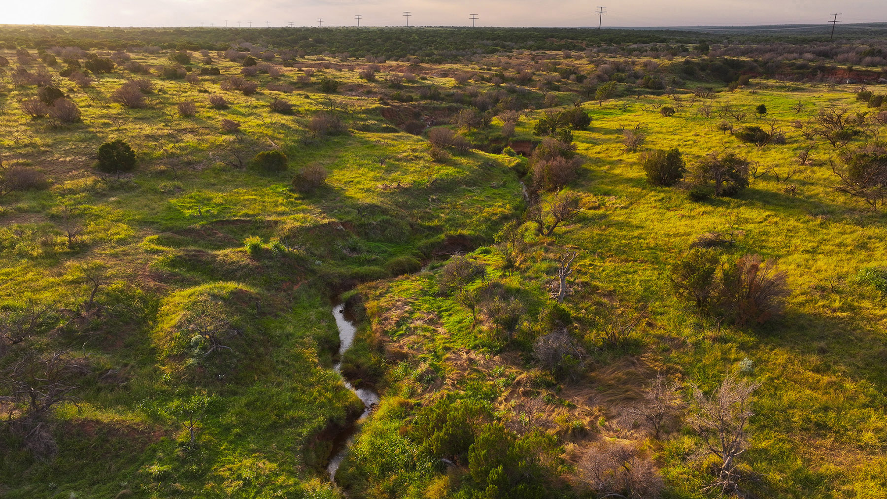 Diamond H Ranch property picture 37 of 53