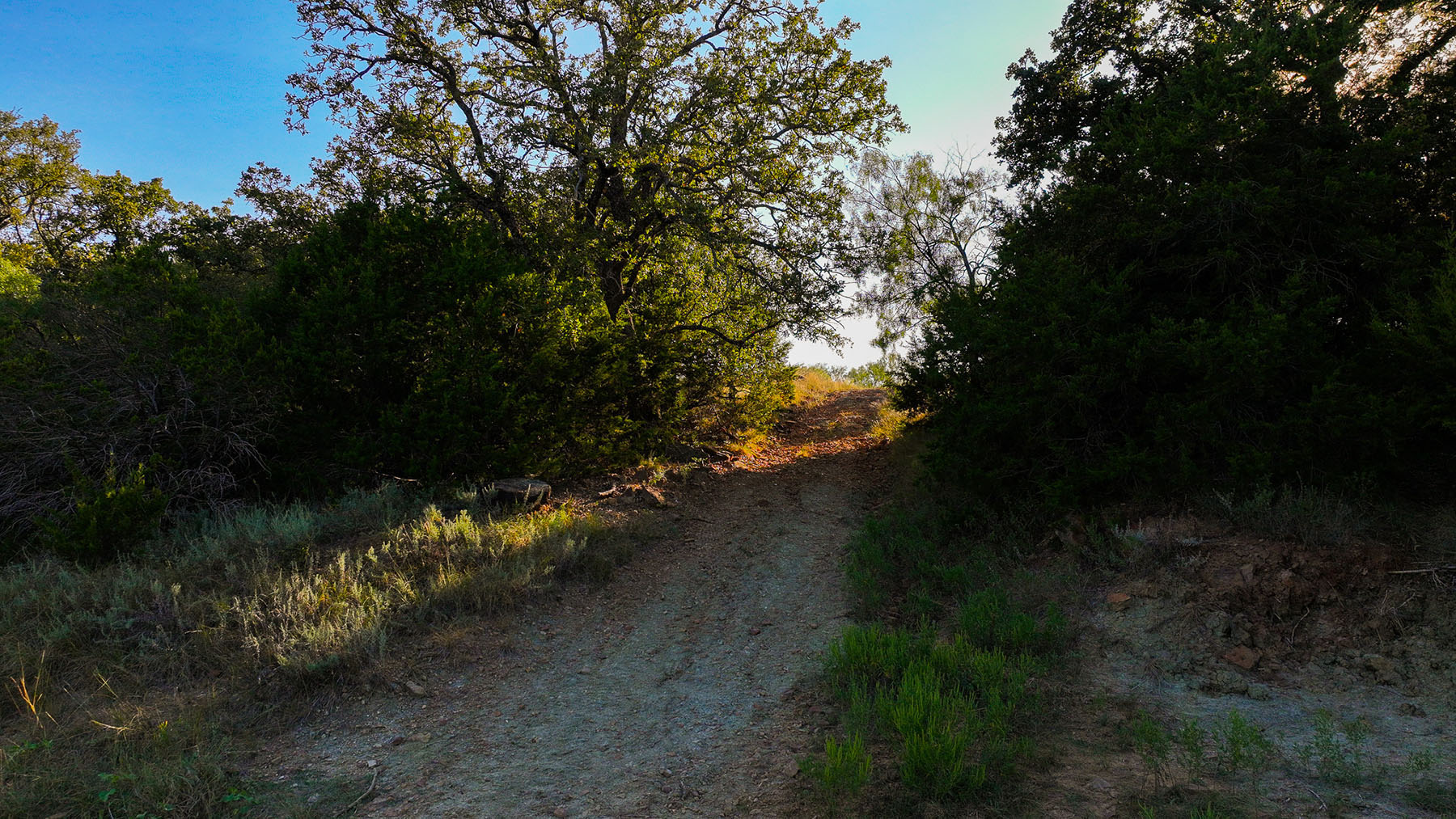 MY Ranch property picture 59 of 91