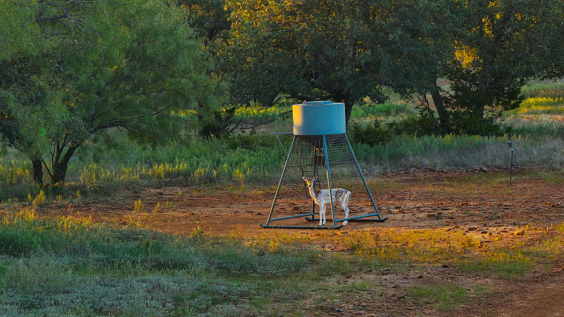 MY Ranch property picture 52 of 91