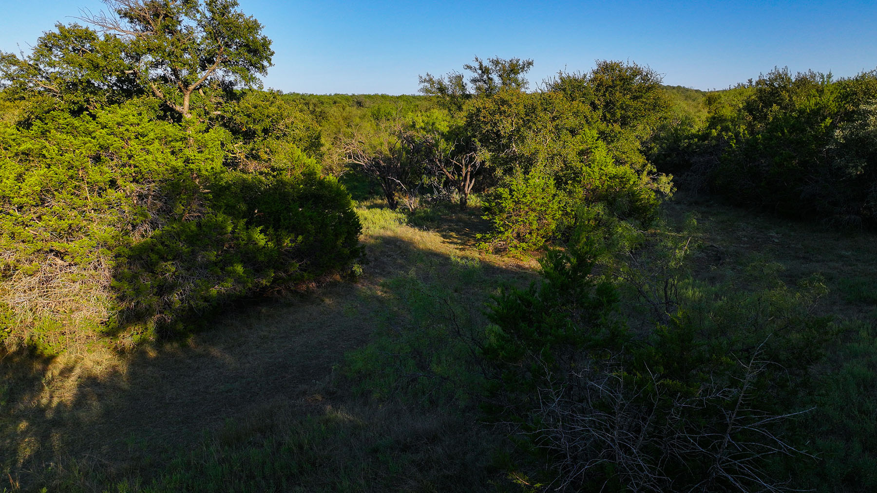 MY Ranch property picture 62 of 91