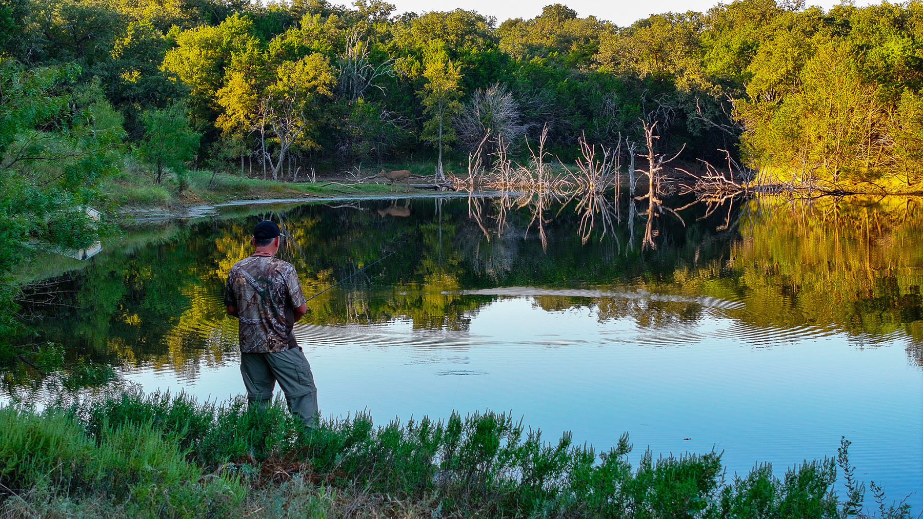 MY Ranch property picture 4 of 91