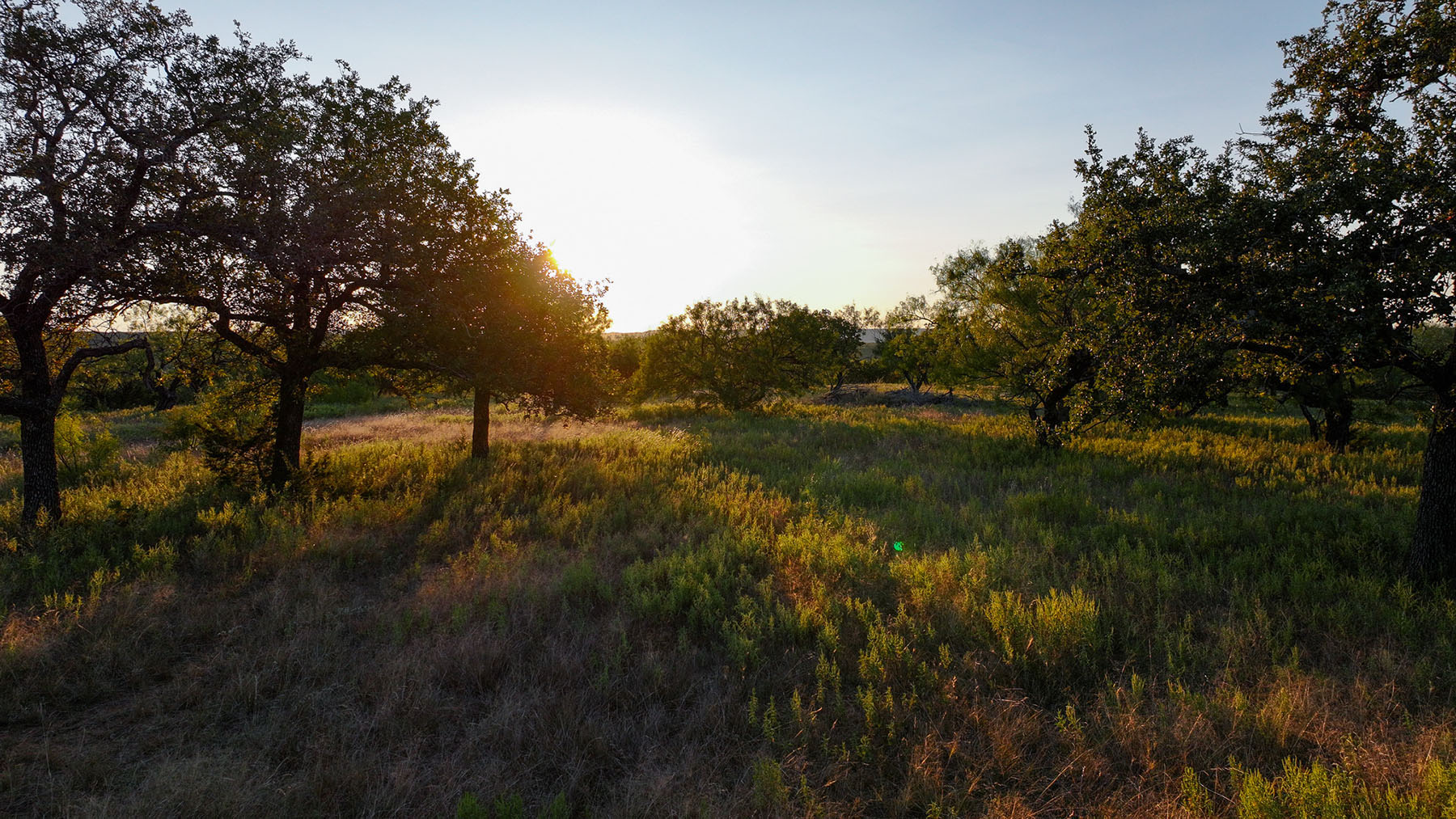 MY Ranch property picture 70 of 91