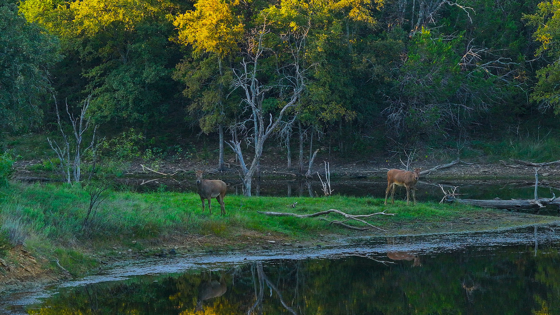 MY Ranch property picture 88 of 91