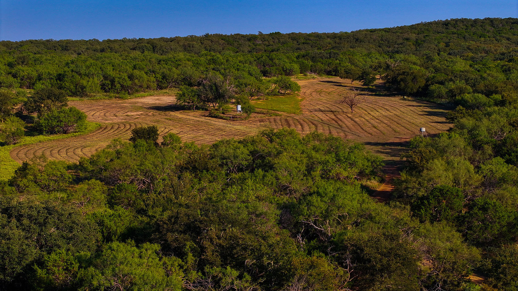 MY Ranch property picture 54 of 91