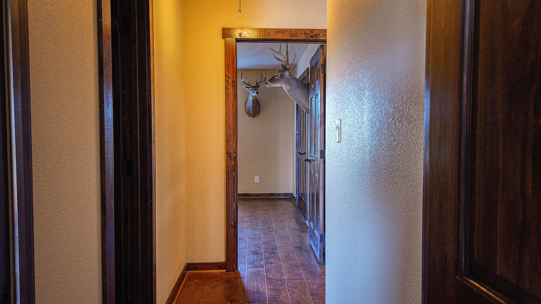 MY Ranch property picture 36 of 91